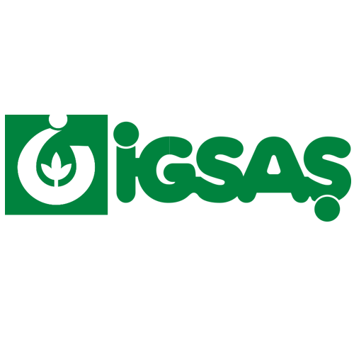 İGSAŞ
